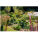 Web-Stage Jardin.png